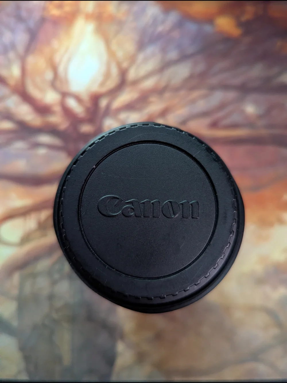Canon 24 105mm